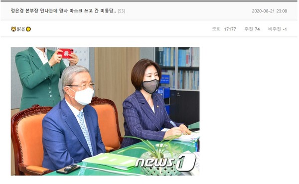 딴지일보 게시판에 올라온 미래통합당 비대위원의 망사마스크 착용 비난 글.