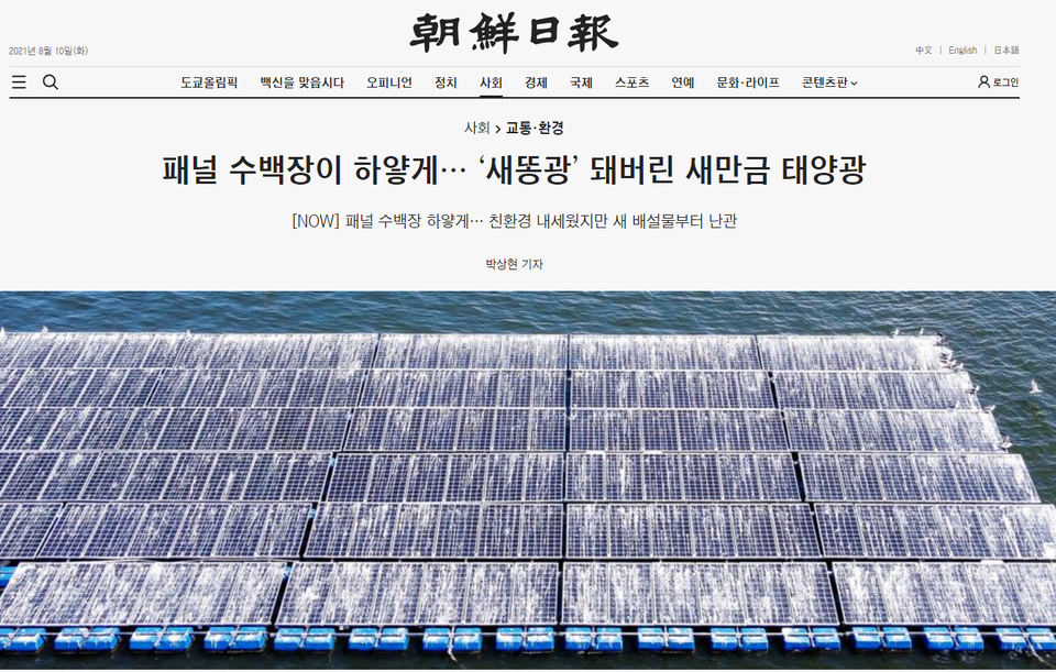 출처: 조선일보 홈페이지