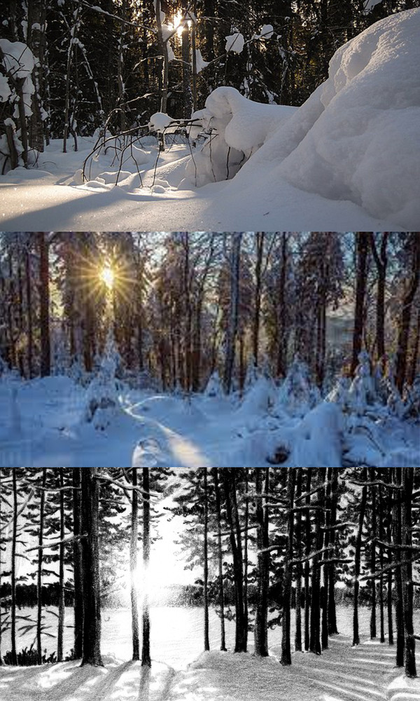 그림 8. 핀란드의 또 다른 장애. 겨울의 긴 밤 시간과 낮 시간의 광량부족