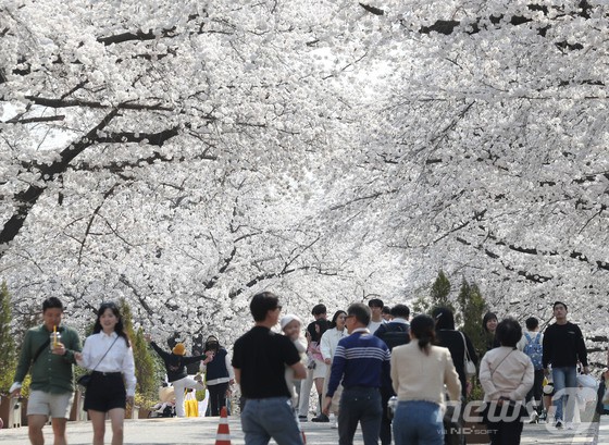2일 오후 경기 과천시 렛츠런파크 서울에서 시민들이 만개한 벚꽃을 보며 봄을 만끽하고 있다.신종 코로나바이러스 감염증(코로나19) 이후로 4년 만에 열린 '2023 렛츠런파크 서울 야간 벚꽃축제'는 1일부터 총 9일간(오전 11시~오후 9시) 열리며 다양한 이벤트 및 즐길 거리 등이 마련돼 있다.